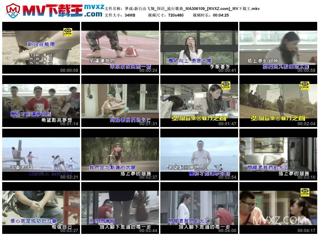 梦成-新自由飞翔_国语_流行歌曲_MA306109